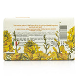 Nesti Dante Dei Colli Fiorentini Triple Milled Vegetal Soap - Broom 250g/8.8oz