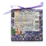 Nesti Dante Gli Officinali Soap - Hydrangea & Rhubarb - Tonic & Energizing 200g/7oz