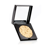 Laura Mercier Face Illuminator - # Addiction 9g/0.3oz
