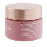 Jurlique Moisture Plus Rare Rose Cream 50ml/1.7oz