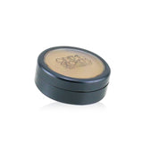 Cinema Secrets Ultimate Foundation Singles - # 201(67B) (Olive Undertones) 14g/0.5oz