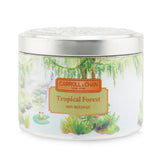 The Candle Company (Carroll & Chan) 100% Beeswax Tin Candle - Tropical Forest (8x6) cm
