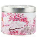 The Candle Company (Carroll & Chan) 100% Beeswax Tin Candle - Sakura (8x6) cm