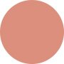 Chanel Rouge Coco Flash Hydrating Vibrant Shine Lip Colour Rouge Coco Flash Hydrating Vibrant Shine Lip Colour - # 116 Easy 3g - COLOR