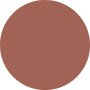 Shiseido Technosatin Gel Lipstick - # 405 Playback 3.3g - COLOR