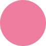 Clarins Lip Oil Balm - # 02 Pitaya 2.9g - COLOR