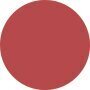 Estee Lauder Pure Color Lipstick Matte - # 666 Captivated 3.5g - COLOR