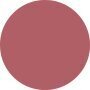 Estee Lauder Pure Color Lipstick Matte - # 669 Stolen Heart 3.5g - COLOR