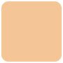 Shiseido Synchro Skin Self Refreshing Foundation - # 160 Shell 30ml - COLOR