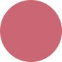 Estee Lauder Pure Color Lipstick - # 260 Eccentric 3.5g - COLOR
