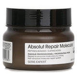 L'Oreal Professionnel Serie Expert Absolut Repair Serie Expert Absolut Repair Molecular Mask 250ml - DETAIL-1