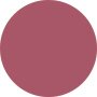 Estee Lauder Melt On Gloss Stick - # 390 MELTED MELON 1.8g - COLOR