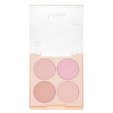 Dasique Blending Mood Cheek Blending Mood Cheek - # 09 Almond Vanilla 16.8g