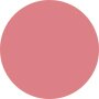 Dasique Juicy Dewy Tint - # 09 Peach Pudding 3.5g - COLOR