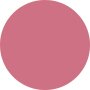 Dasique Juicy Dewy Tint - # 11 Fig Plum 3.5g - COLOR