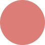 Dasique Juicy Dewy Tint - # 20 Bare Nude 3.5g - COLOR