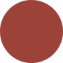 MAC Powder Kiss Velvet Blur Slim Stick - # 893 Sweet Cinnamon 2g - COLOR