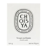 Diptyque Scented Candle - Choisya (Mexican Orange Blossom) 190g/6.5oz