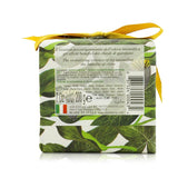 Nesti Dante Gli Officinali Soap - Ivy & Clove - Therapeutic & Relaxing 200g/7oz