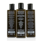 Gentlemen's Tonic Shower Gift Set: Gentle Body Wash 250ml + Daily Shampoo 250ml + Protein Conditioner 250ml 3pcs