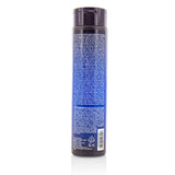 Joico Color Balance Blue Shampoo (Eliminates Brassy/Orange Tones on Lightened Brown Hair) 300ml/10.1oz