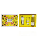 Decleor Infinite Soothing Rose Damascena Skincare Set: Aroma Cleanse Cleansing Mousse+ Day Cream & Mask+ Bath & Shower Gel 3pcs