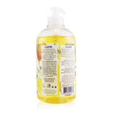 Nesti Dante Dolce Vivere Vegan Liquid Soap - Capri - Orange Blossom, Frosted Mandarine & Basil 500ml/16.9oz