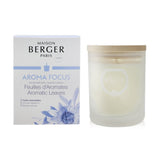 Lampe Berger (Maison Berger Paris) Scented Candle - Aroma Focus Scented Candle