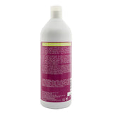 Redken Nature + Science Color Extend Vibrancy Conditioner (For Color-Treated Hair) 1000ml/33.8oz